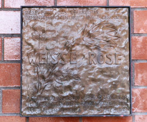 Bronzetafel Weiße Rose